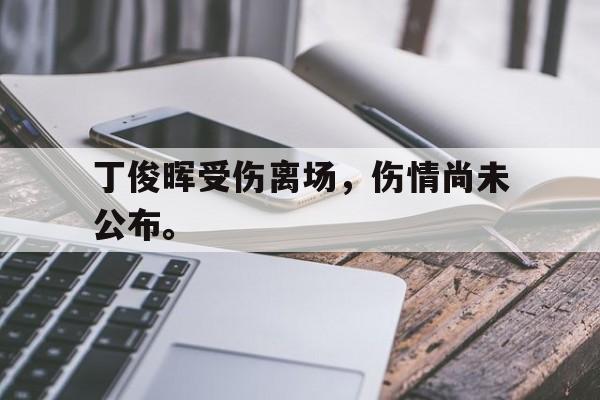 爱游戏网页版登录界面-丁俊晖受伤离场，伤情尚未公布。